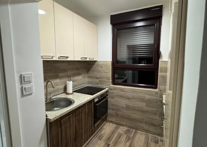 Apartman Stan Na Dan Brena *